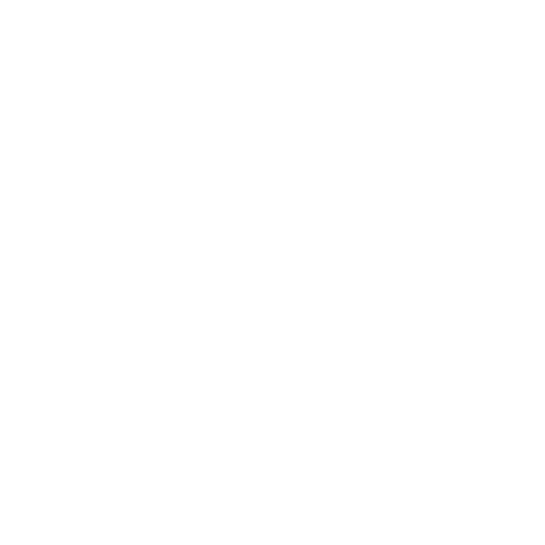 DİJİTAL VİZYON AJANSI